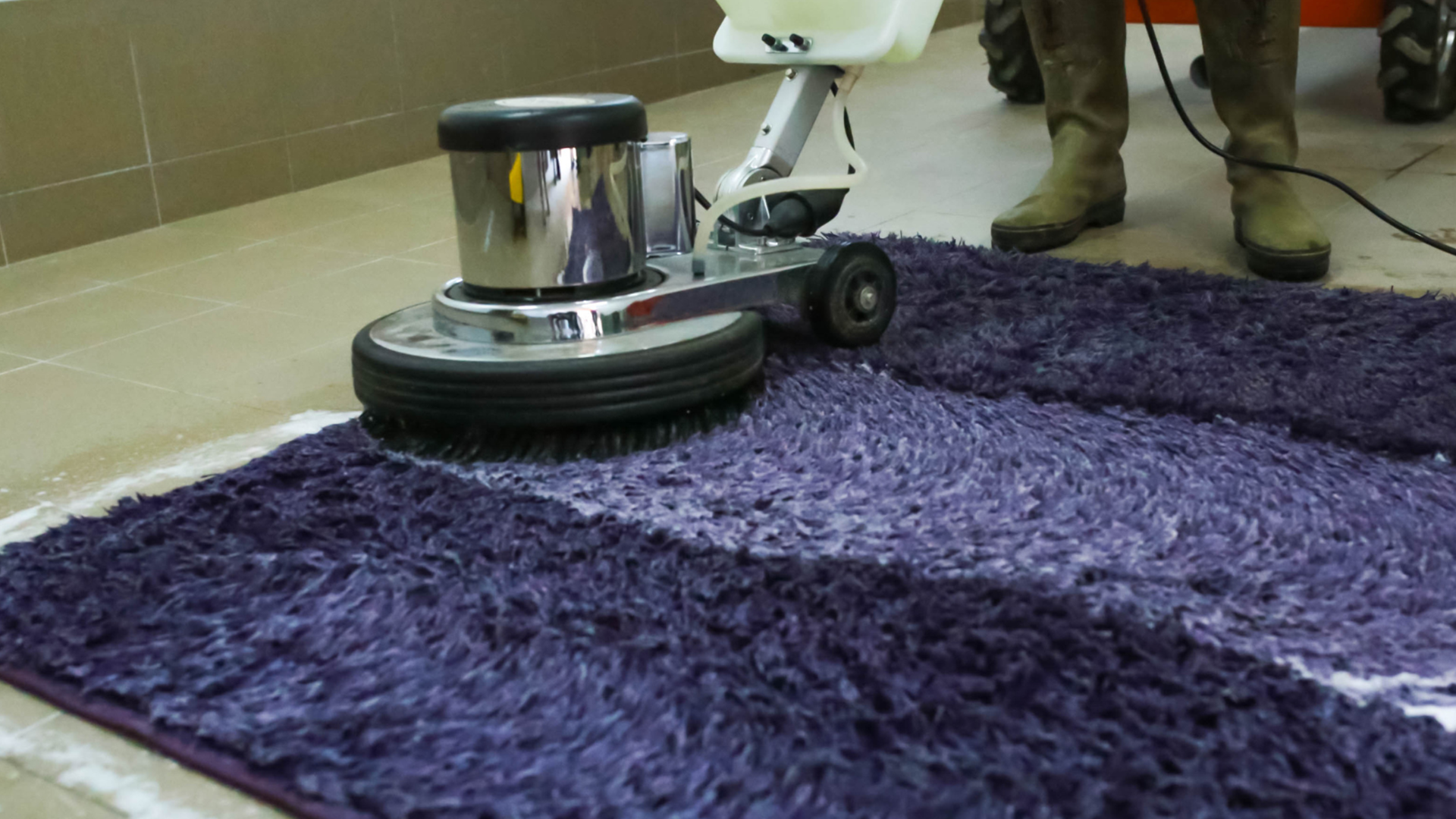 carpet cleaning in brooklyn, carpet cleaning in new york, carpet cleaning brooklyn, carpet cleaners in brooklyn, carpet cleaners in new york, commercial carpet cleaning, commercial carpet cleaning in brooklyn, brooklyn rug cleaners, rug cleaning services in brooklyn, same day carpet cleaning, same day rug cleaning